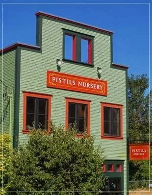 Exterior photo of Pistils Nursery